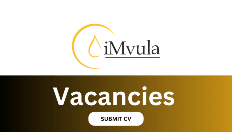 Imvula Security Is Recruiting Cleaners and Security Guards Nationwide VACANCIES (26)